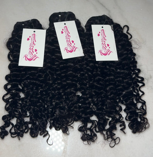 Burmese Curly